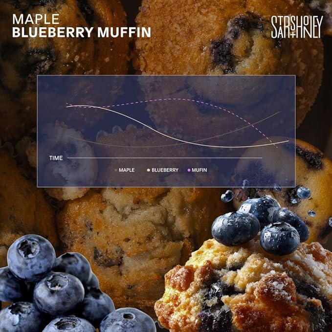 Stars + Honey Protein Bars- Maple Blueberry Muffin,14g Protein, 2g Sugar, w/Collagen Keto Friendly Snack - Gluten, Dairy, & Soy Free - High-Protein Snacks for Energy & Recovery-10 pack