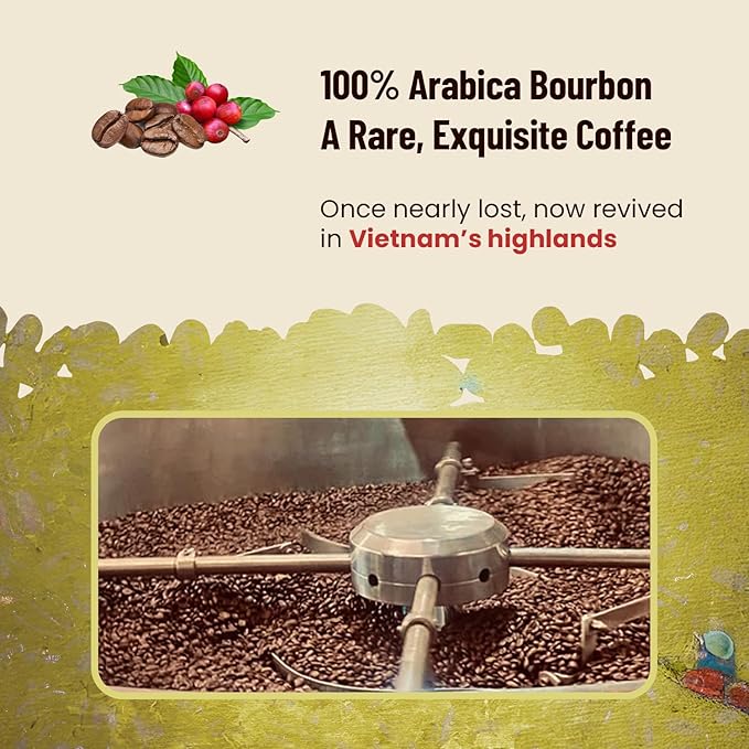 Vietnamese Coffee Beans - Saigondan Joyful | Medium Roast | 100% Arabica Bourbon | Single Origin | Roasted in Small Batches | Direct Trade | Notes of Orange Blossoms | No Preservatives | 12 Oz