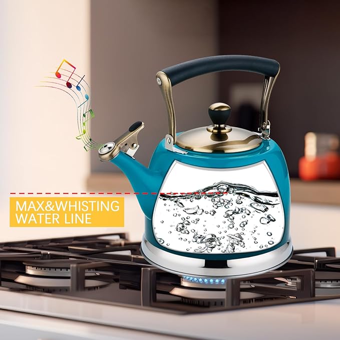 Tea Kettle Stainless Steel Teapot, Stainless Steel Teakettle for Stove Top with Heat Proof Ergonomic Handle 3.0 Quart