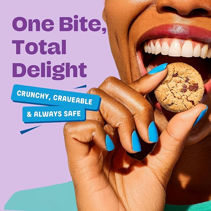 Gluten Free Partake Crunchy Chocolate Chip Cookies - Vegan - Free From the Top 9 Allergens Including Dairy, Wheat, Soy, Eggs, & Peanuts - Safe School & Office Snack (48 Packs, 1.09 oz)