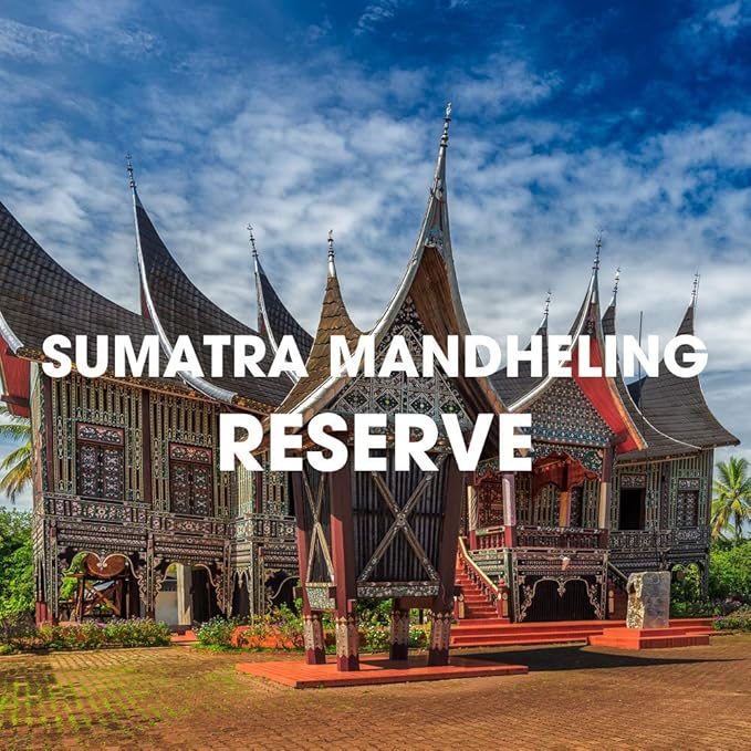 Sumatra Mandheling Reserve Coffee, Dark Roasted, USDA Organic, Whole Bean, Fair Trade, Kosher, 5 lbs