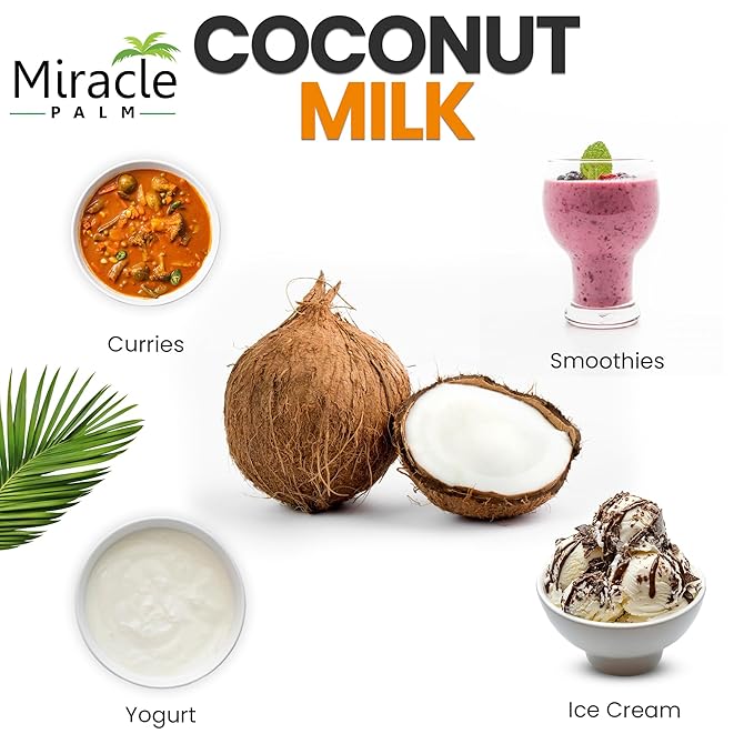 Miracle Palm Coconut Milk Unsweetened - Coconut Milk Canned, Additive Free Organic 13.5 Fl Oz (Pack of 12)
