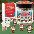 Positive Santa Jar – 60 Funny Emotional Support Santa Jar- Christmas Gifts for Teens, Women, Men, Coworkers, Teachers, Sisters, Friends – Christmas Stocking Stuffer for Teen Girls, Boys