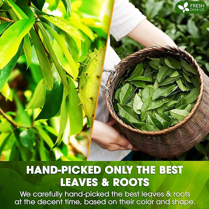 FreshDrinkUS, Premium 75 Tea Bags Soursop Green Tea, 100% Natural & Proprietary Blend from Soursop Leaves and Green Tea. Smooth Flavor. Made with Eco-Conscious Tea Bags. No Additives No Sugar, Vegan.