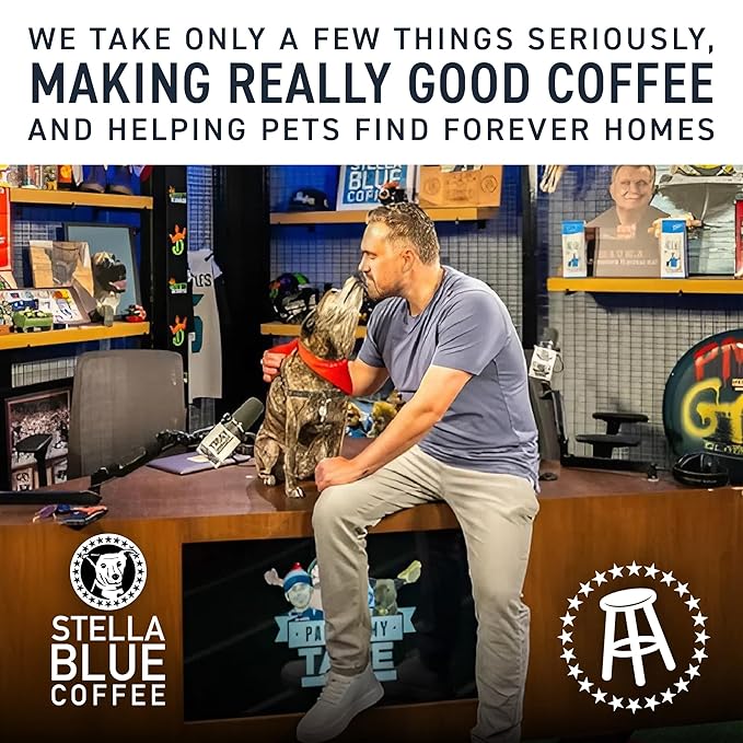 Stella Blue Espresso Sweet Cream Latte, 100% Colombian Coffee, 190mg Natural Caffeine, Good Source of Protein, Ready-to-Drink Coffee Energy Beverage, 11oz Can, 12 Pack