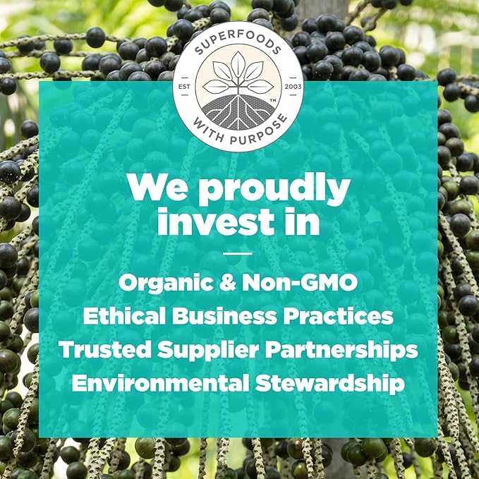 Navitas Organics Berry Acai Superfood+ BITES – Power Snacks – All Natural Plant Based – Clean Energy & Nutrition – USDA Organic, Non GMO, Gluten Free, Soy Free, Kosher, Vegan (8oz. Bag 11 Servings)