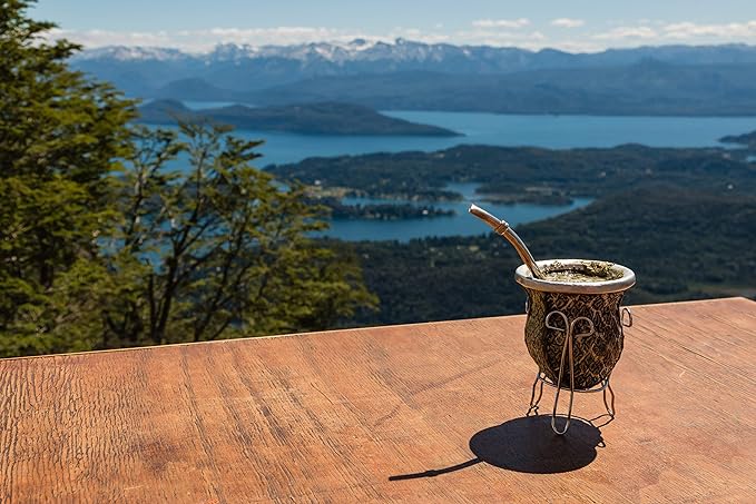 Yerba Mate Tea 1LB (16Oz) HI-CAFFEINE 100% CERTIFIED Organic SUPER-GREEN Yerba Mate | NO Dust | FRESH - NEVER Aged (Ilex Paraguariensis) | Brazilian Rain Forest Grown from U.S. Wellness Naturals