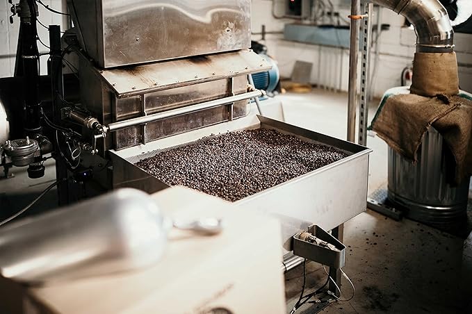 Nicaragua Coffee Beans (5 LBS), Medium Roast, Good As Gold Coffee Roasters