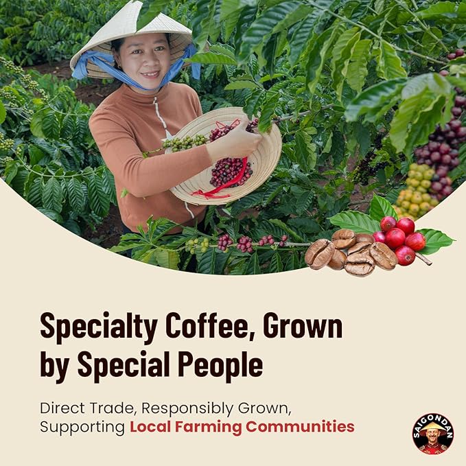 Robusta Whole Bean Coffee - Saigondan Adventure | Light Espresso Roast | 100% Robusta | Vietnamese Coffee | Roasted in Small Batch | Smooth & Naturally Sweet | Direct Trade | No Preservatives | 12 Oz