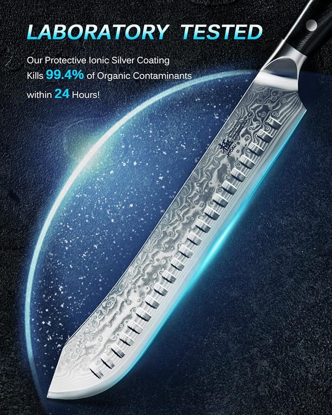 KYOKU Gin Series 10" Bullnose Butcher Knife for Meat Cutting With Silver PVD Coating - Japanese VG10 Steel for Professional Chefs & Home Cooks, Commercial & Home Kitchen