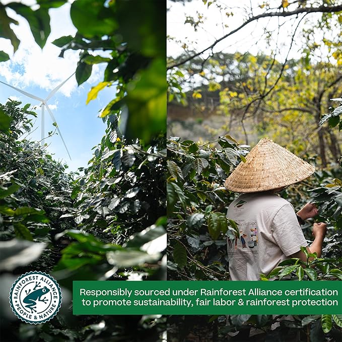 Conihat Whole Bean Coffee - 100% Vietnamese Premium Arabica, Dark Roast, Chocolate & Fruity Notes, Sweet Finish, Low Acid, Single Origin, Hand-Picked, 8.8 Oz Bag