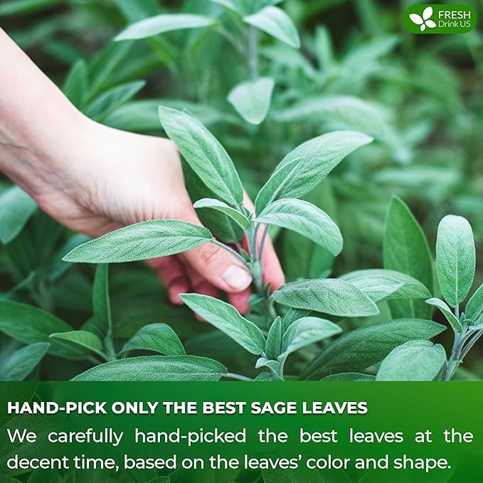 FreshDrinkUS, Premium 55 Sage Leaf Tea Bags, 100% Natural & Pure from Sage Leaves. Loose Leaf Herbal Tea. Made with Natural Material Tea Bags. No Sugar, No Caffeine, No Gluten, Vegan.