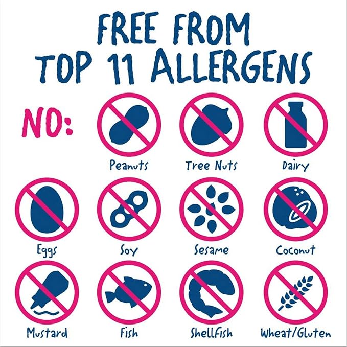 Rule Breaker Vegan & Gluten-Free Cookies | Chocolate Chip Bites | Plant-Based, Dairy, Nut, Soy, Allergen Free, Kosher | Great For School, Office, Pantry | Soft-Baked School Snacks for Kids and Adults (Pack of 12)