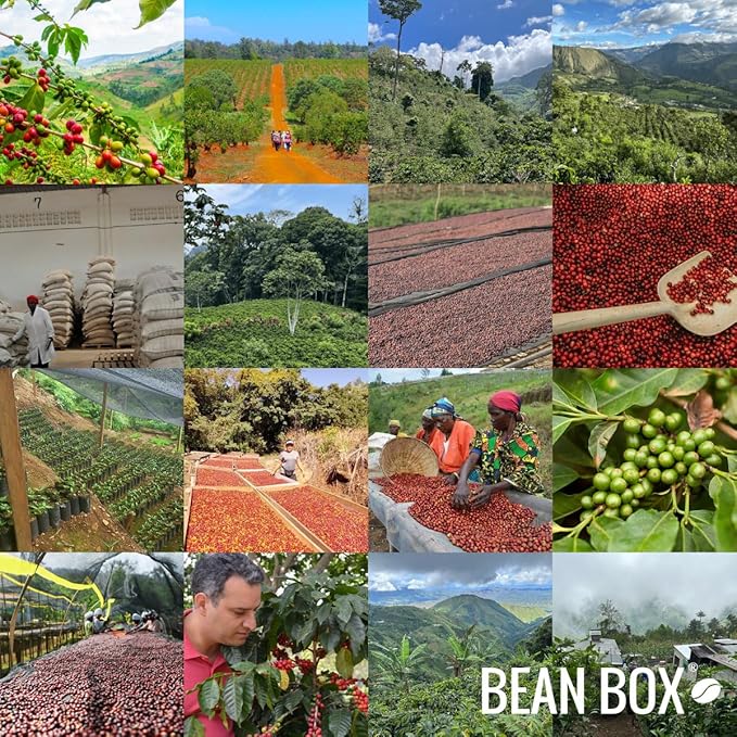 Phantom Limb - Roasted by Huckleberry Roasters - Whole Bean Coffee - 12 Ounce Bag