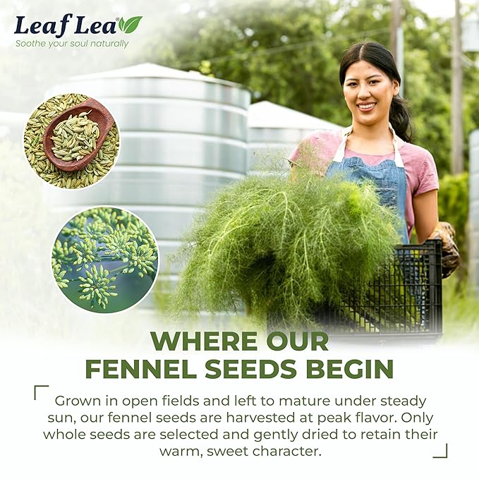 LeafLea 80 Premium Fennel Tea Bags, Pure Dried Fennel Seed Tea, Daily Ease & Balance, Naturally Sweet Taste, Caffeine-Free, Sugar-Free, Non-GMO, Vegan, Individually Wrapped