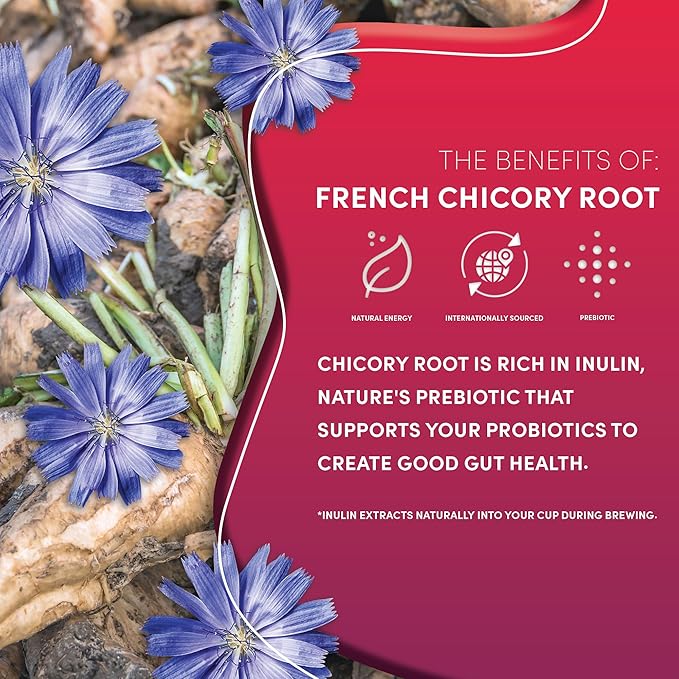 Teeccino Vanilla Nut Chicory Coffee Alternative - Ground Herbal Coffee That’s Prebiotic, Caffeine Free & Acid Free, Medium Roast, 11 Ounce (Pack of 6)