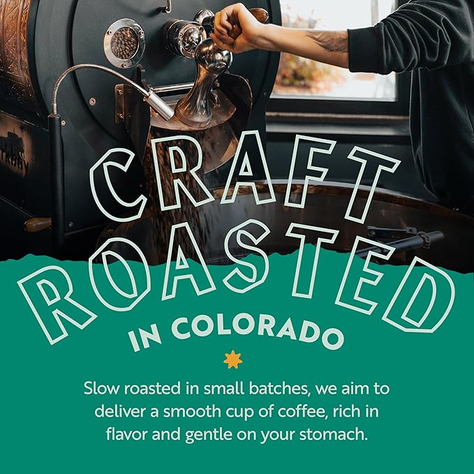 Clean Coffee Co. - Low Acid Dark Roast, Tested for Molds and Toxins, Honduras Blend, Notes of Caramel, Dark Chocolate, and Toasted Malts (Whole Bean, 12 oz Bag) (Pack of 2)