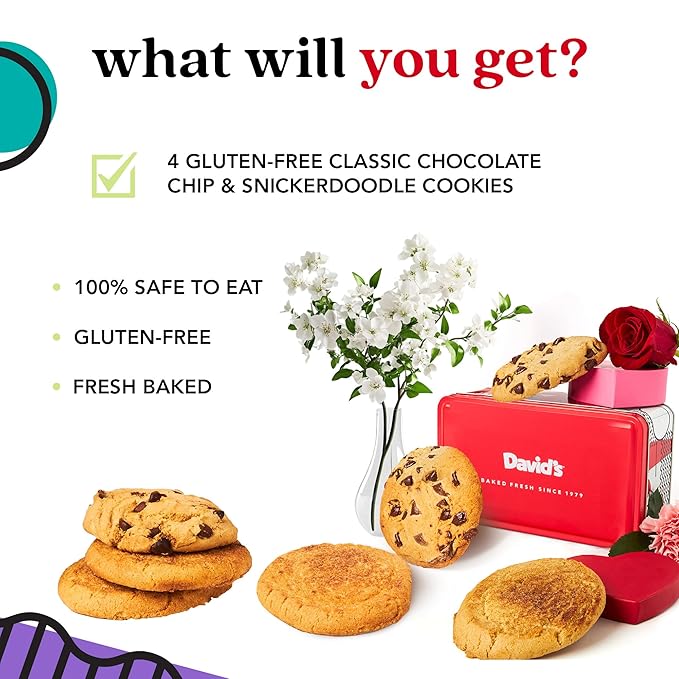 David's Cookies Gluten-Free Cookies Gift in Sweet Sampler Tin – Chocolate Chip & Snickerdoodle Cookies – Gourmet Bakery Treats – Soft & Chewy, Premium Dessert Gift for Birthdays & Special Occasions