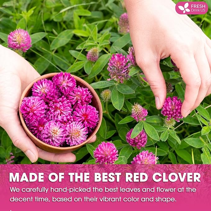 FreshDrinkUS, Premium Red Clover Herbal Tea– 35 Tea Bags – Pure – Naturally Smooth & Mild Flavor – Premium Quality, Eco-Conscious Packaging. Caffeine-Free. Gluten Free. Vegan