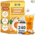LeafLea 240 Turmeric Ginger Tea Bags, 100% Natural Herbal Blend with Cinnamon, Supports Digestion and Immune Health, Warm and Spicy Flavor, Sugar-Free, Caffeine-Free, Non-GMO, Pack of 6