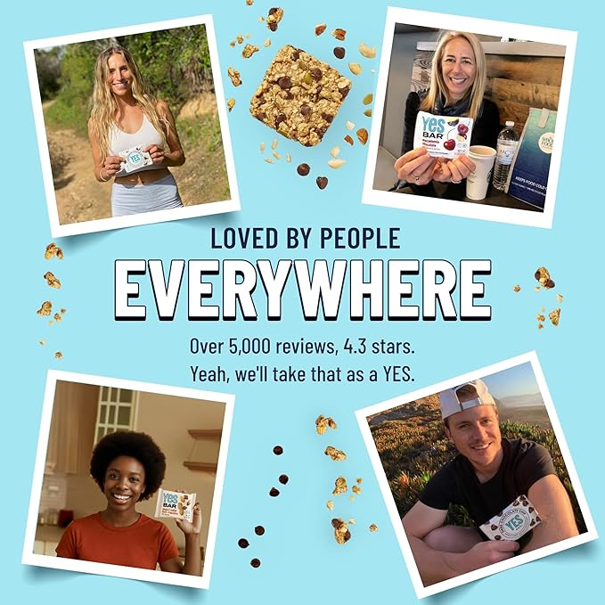The YES Bar – Dark Chocolate Chip – Plant Based Protein, Decadent Snack Bar – Vegan, Paleo, Gluten Free, Dairy Free, Low Sugar, Healthy Snack, Breakfast, Low Carb, Keto Friendly (Pack of 6)