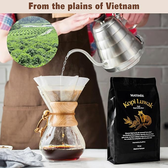 MATINÉE Wild Kopi Luwak Coffee Beans, Medium Roast, Whole Bean Coffee, Civet Coffee, Wild Kopi Luwak Coffee - Sustainably Sourced From Vietnam, 16oz / 454 Grams