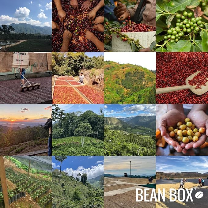 Colombia La Familia Guarnizo - Roasted by Joe Coffee Company - Whole Bean Coffee - 6 Ounce Bag