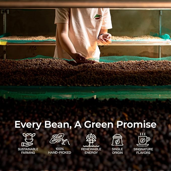 Conihat Whole Bean Coffee - 100% Vietnamese Premium Arabica, Dark Roast, Chocolate & Fruity Notes, Sweet Finish, Low Acid, Single Origin, Hand-Picked, 8.8 Oz Bag
