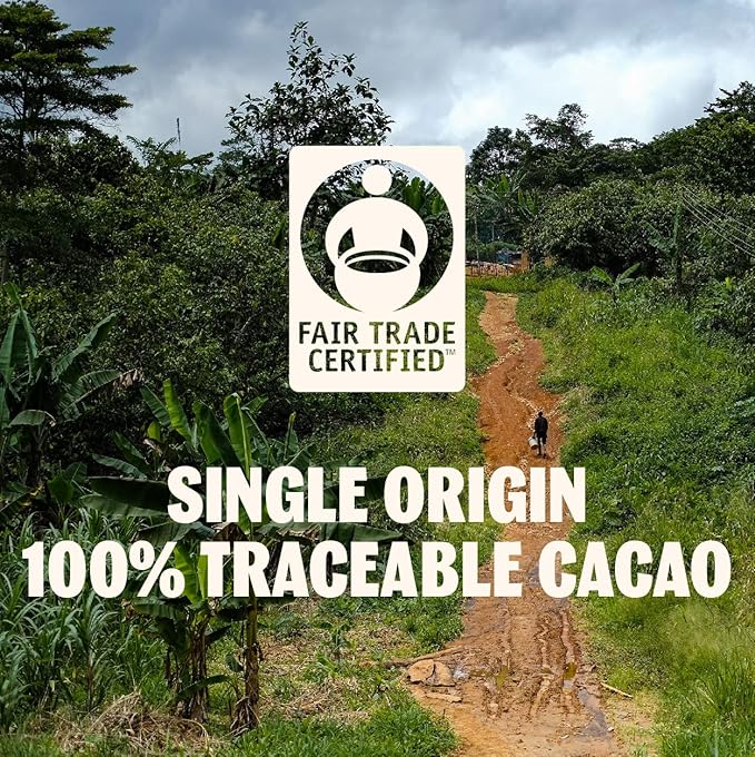 TCHO Holy Fudge 76% Dark Chocolate Bars (3 pack) | Single Origin, Plant Based, Organic & Fair Trade, | Non GMO, Non-Dairy, Vegan, Soy Free (2.5oz each)