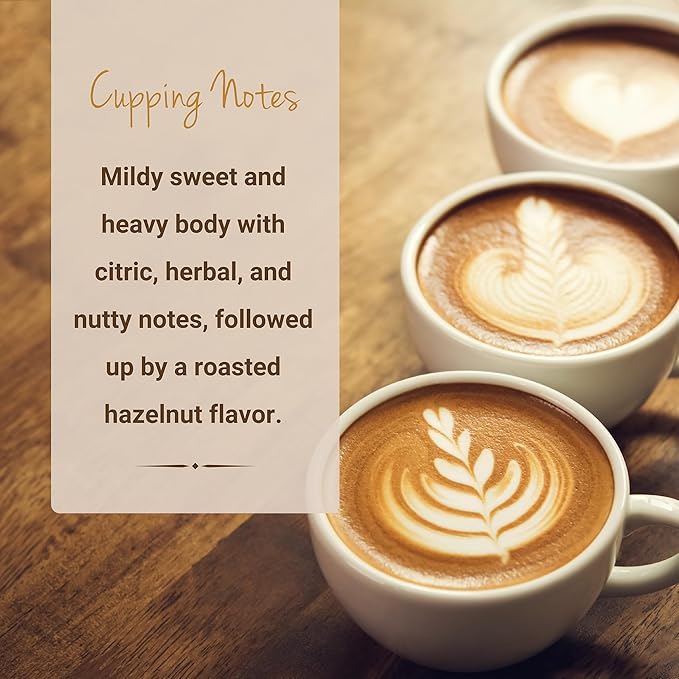 Brazil Coffee, Whole Bean Coffee, Premium Brazilian Santos Natural Single Origin Fresh Roasted Coffee Beans | Cubico Coffee | 12 Ounce Bag