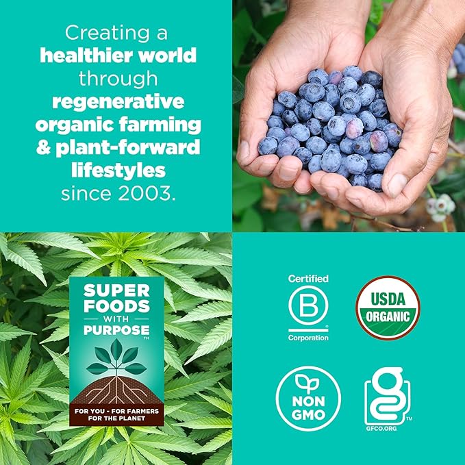 Navitas Organics Superfood Power Snacks, Blueberry Hemp, 8oz. Bag, 11 Servings - Organic, Non-GMO, Gluten-Free