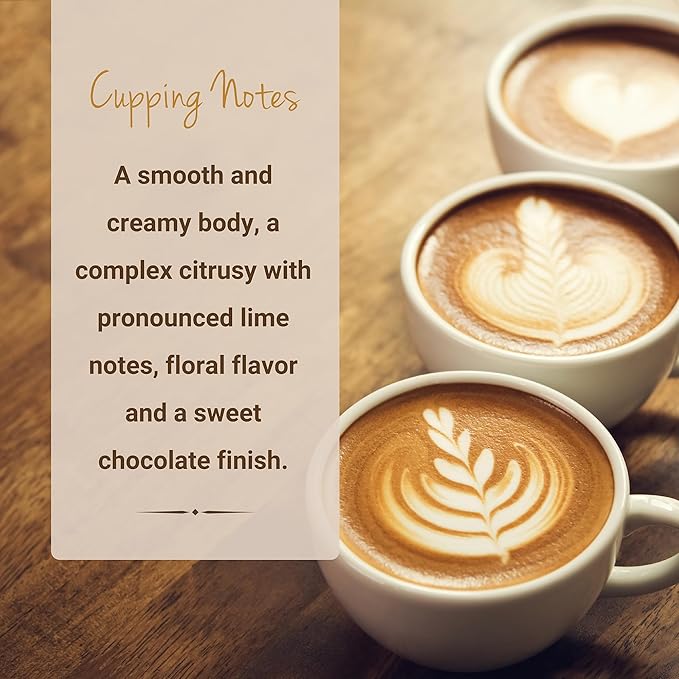 Ethiopian Yirgacheffe Coffee, Ground Coffee, Premium Ethiopia Yirgacheffe Single Origin Fresh Roasted Ground Coffee | Cubico Coffee | 12 Ounce Bag