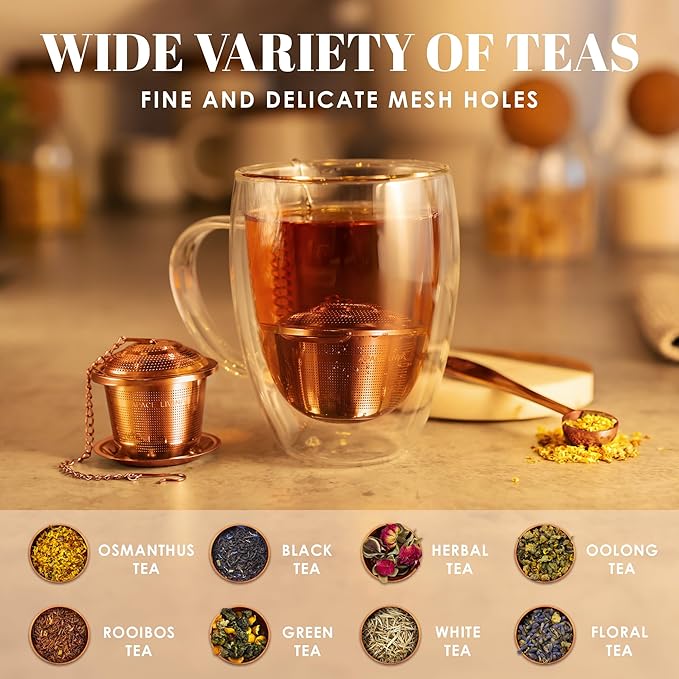 Tea Infuser (Set of 2) with Tea Scoop and Drip Dray - Ultra Fine Tea Strainer for Loose Leaf Tea - Stainless Steel Tea Steeper for a Superior Brewing Experience