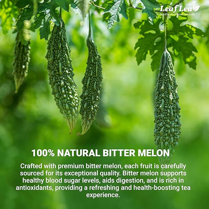 LeafLea 120 Bitter Melon Tea Bags, 100% Pure Bitter Melon Fruit. Supports Wellness and Digestion | Caffeine-Free, Sugar-Free, Vegan, Pack of 3