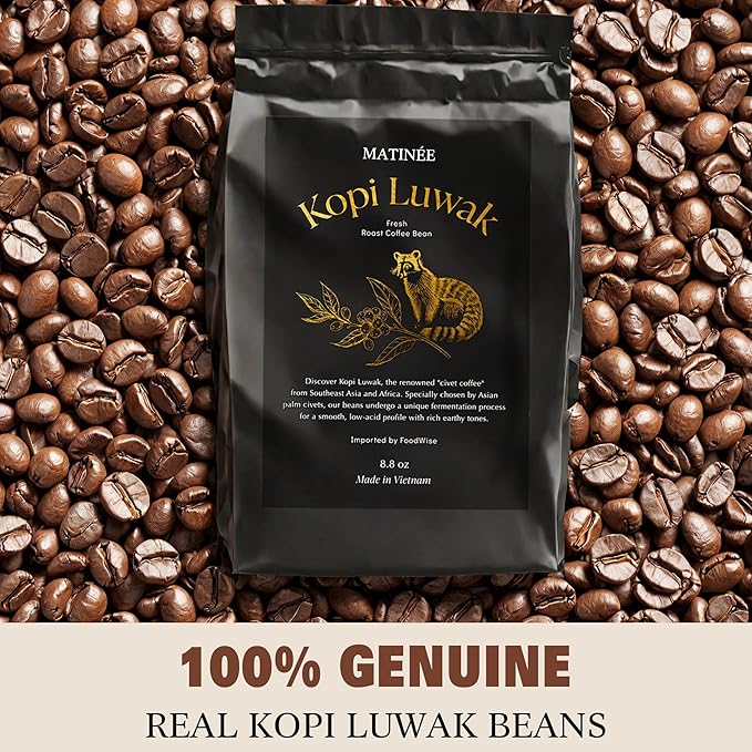 MATINÉE Wild Kopi Luwak Coffee Beans, Medium Roast, Whole Bean Beans, Civet Coffee - Sustainably Sourced From Vietnam, 8.8oz / 250 Grams
