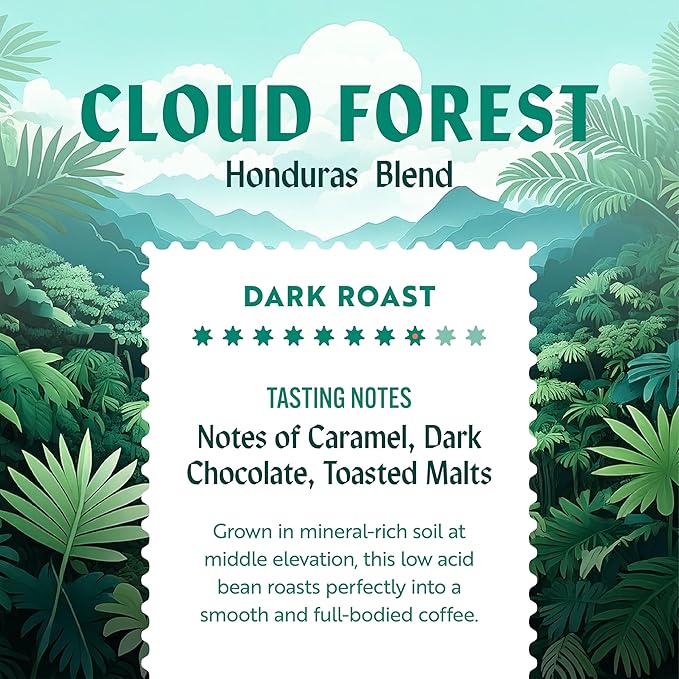 Clean Coffee Co. - Low Acid Dark Roast, Tested for Molds and Toxins, Honduras Blend, Notes of Caramel, Dark Chocolate, and Toasted Malts (Ground, 12 oz Bag) (Pack of 2)