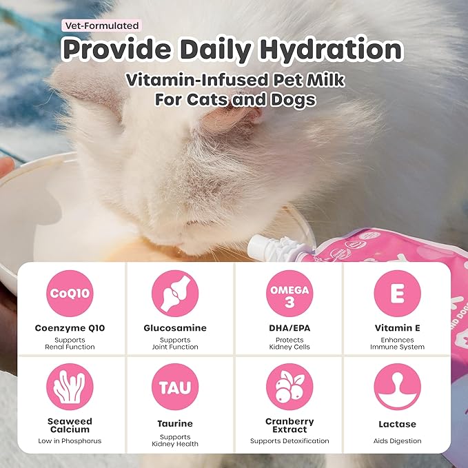 Choolip Berry Good Milk – 10-Pack Lactose-Free Vitamin Milk for Cats & Dogs | Vet-Formulated Pet Drink Supporting Urinary, Joint & Digestive Health | Grain-Free, Ready to Serve