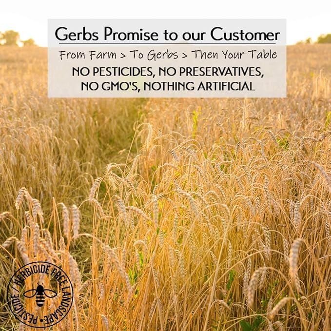 Gerbs Gluten-Free Instant Oats 4 lbs. | Carefully Sourced, Resealable Bag | Smooth & Creamy Texture | Top 14 Allergen-Free