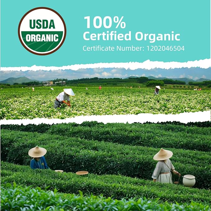Essencesip Organic Jasmine Green Tea Loose Leaf, 4oz Tin – Scented 5x with 6,000 Fresh Jasmine Blossoms, Low Caffeine, Antioxidant-Rich