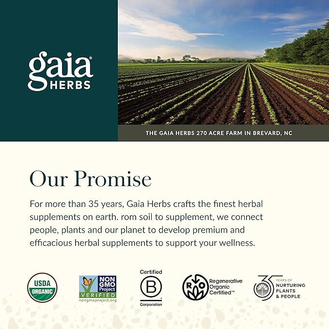Gaia Herbs Golden Milk Supplement Powder - Made with Organic Turmeric Curcumin, Black Pepper, Ashwagandha, Dates, Cardamom, and Vanilla for an Ayurvedic Cup of Natural Calm - 4.3 Oz (35-Day Supply)