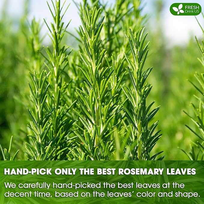 FreshDrinkUS, Premium 75 Rosemary Leaf Tea Bags, 100% Natural and Pure Rosemary Dried Leaves, Pure Herbal Tea, No Additives, No Caffeine, No Gluten, Vegan.