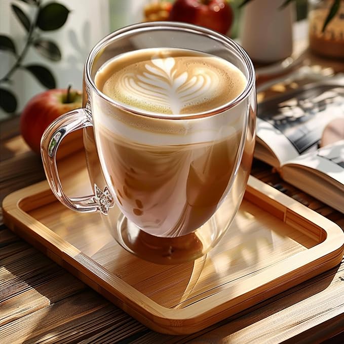 Set of 2 Double Walled Glass Coffee Mugs 16 Ounces Insulated Layer Coffee Cups with Handle Borosilicate Glass Espresso Cup for Hot Beverage,Cappuccino,Tea,Latte,Wine,Microwave Safe