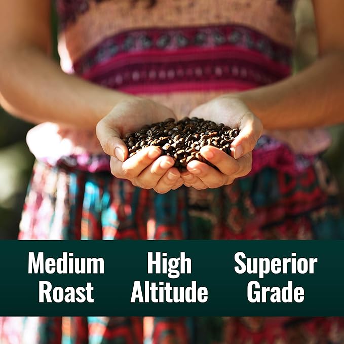 Natural Force - Organic Clean Decaf Coffee, Mold & Mycotoxin Free, Lab Tested for Toxins & Purity, Low Acidity, Incredible Taste & Aroma, Ground Swiss Water Decaf Medium Roast, 10 oz