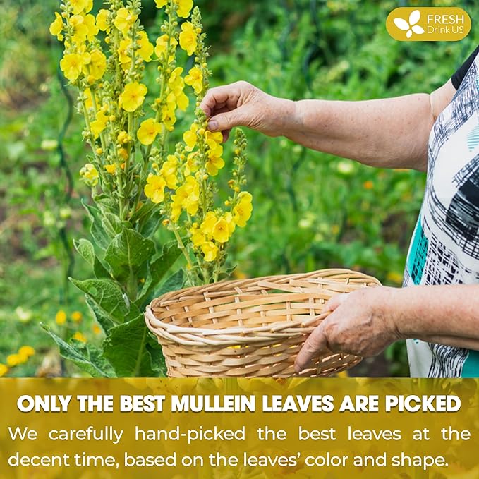 FreshDrinkUS, Premium 80 Mullein Leaf Tea Bags – 100% Natural, Pure, & Caffeine-Free Herbal Tea for Lung – Loose Leaf, No Sugar, Vegan, Gluten-Free, Made with Natural Material Tea Bags