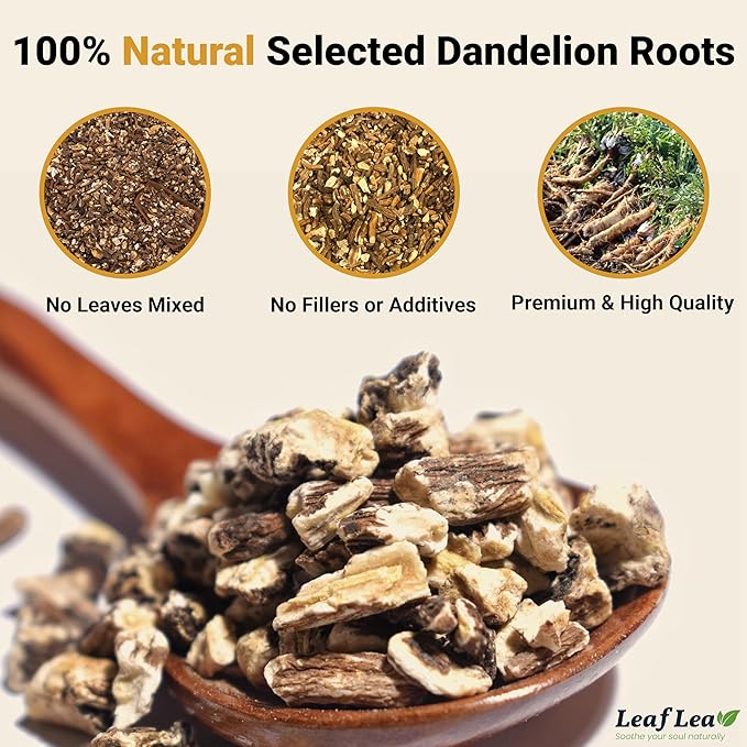 LeafLea Dandelion Root Tea Bags, 240 Count, Natural Dandelion Root Herbal Tea Blend, Supports Digestive and Immune Health, Caffeine-Free, Sugar-Free, Vegan, Gluten-Free, Pack of 6