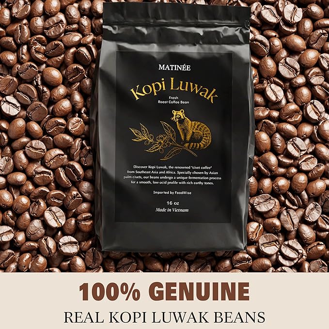 MATINÉE Wild Kopi Luwak Coffee Beans, Medium Roast, Whole Bean Coffee, Civet Coffee, Wild Kopi Luwak Coffee - Sustainably Sourced From Vietnam, 16oz / 454 Grams