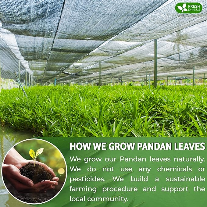 FreshDrinkUS, Premium 30 Pandan Leaf Tea Bags, 100% Natural & Pure from Pandan Leaves. Loose Leaf Pandan Herbal Tea. Made with Natural Material Tea Bags. No Sugar, No Caffeine, No Gluten, Vegan. (30 Tea bags)