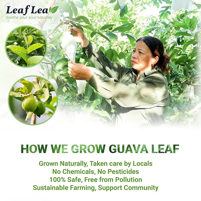 LeafLea Guava Leaf Tea, 40 Individually Wrapped Tea Bags, Made from 100% Natural Guava Leaves (Hojas De Guayaba), Supports Digestion & Wellness, Caffeine-Free, Sugar-Free, Vegan, Non-GMO