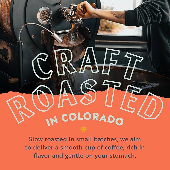 Clean Coffee Co. - Low Acid Medium-Dark Roast, Tested for Molds and Toxins, Papua New Guinea Blend, Notes of Milk Chocolate and Roasted Almonds (Whole Bean, 12 oz Bag) (Pack of 2)
