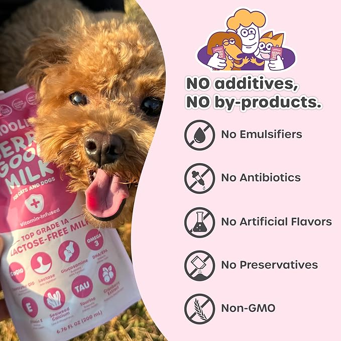 Choolip Berry Good Milk – 10-Pack Lactose-Free Vitamin Milk for Cats & Dogs | Vet-Formulated Pet Drink Supporting Urinary, Joint & Digestive Health | Grain-Free, Ready to Serve